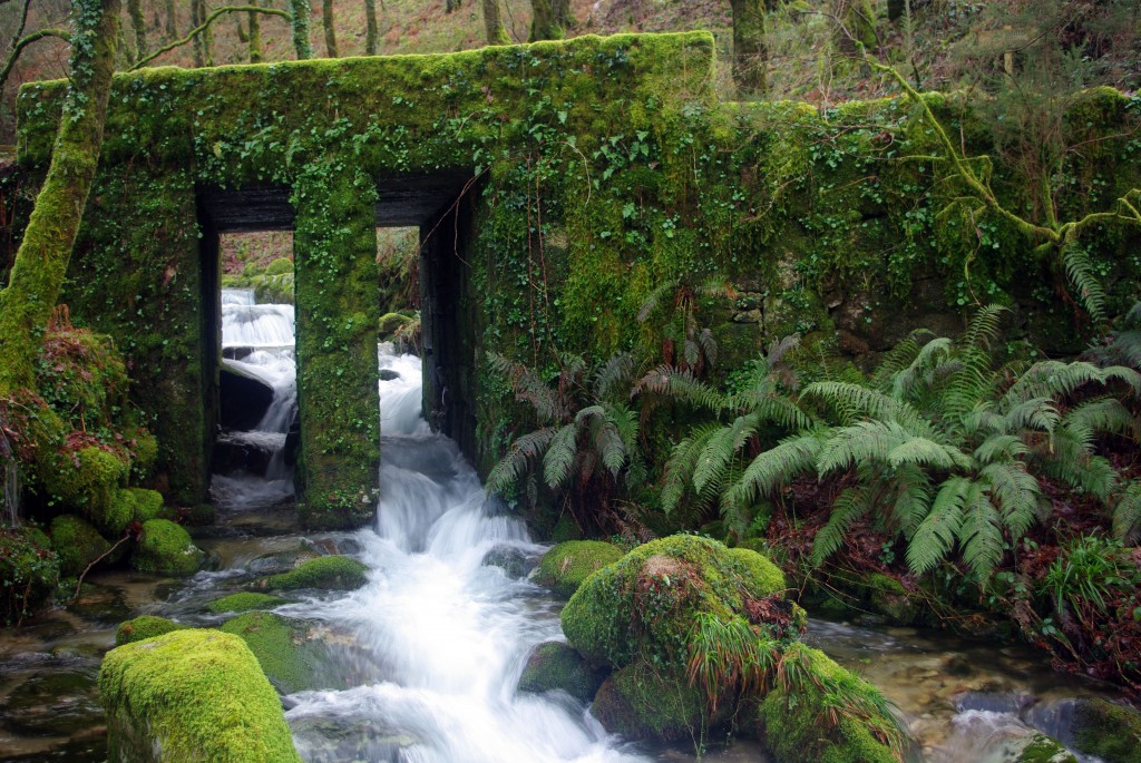 Foto de Fornelos De Montes (Pontevedra), España