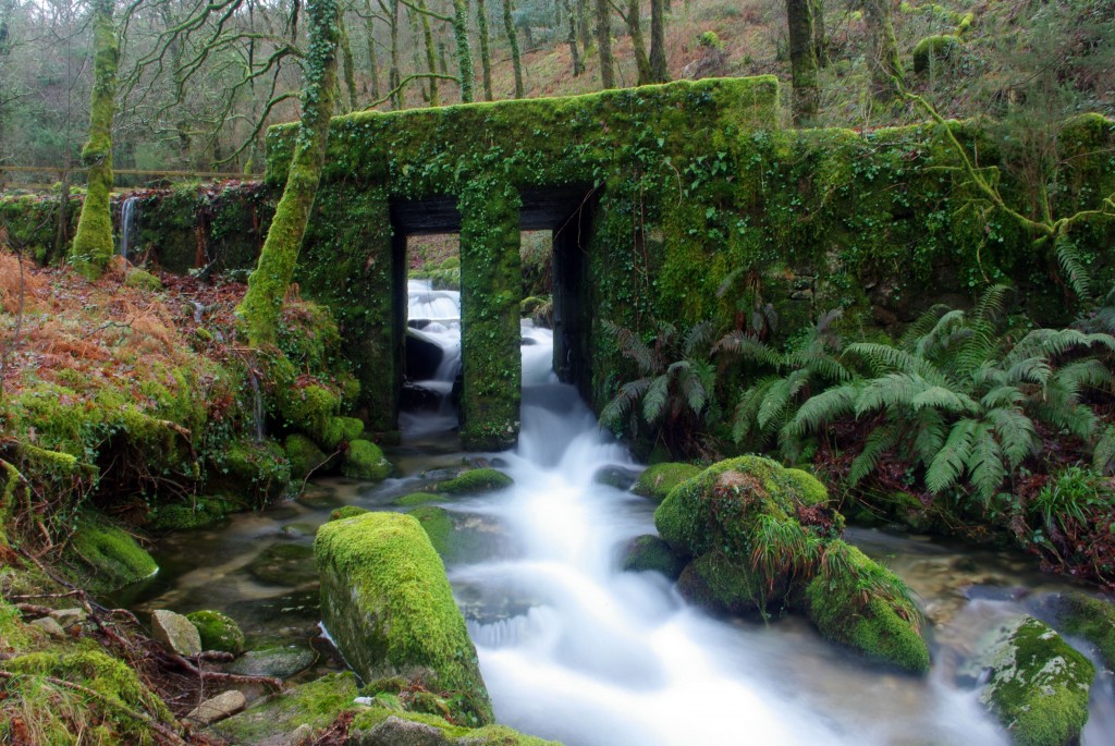 Foto de Fornelos De Montes (Pontevedra), España