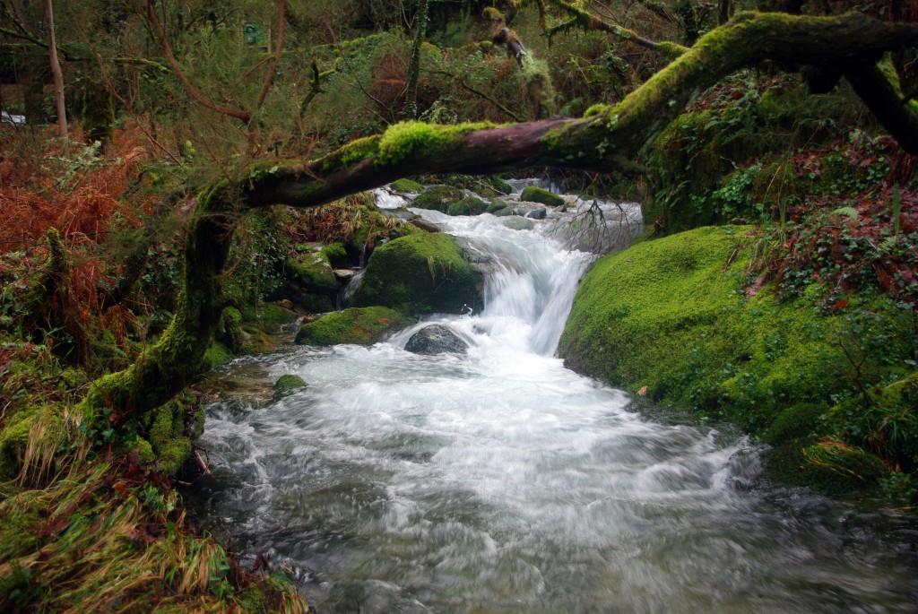 Foto de Fornelos De Montes (Pontevedra), España