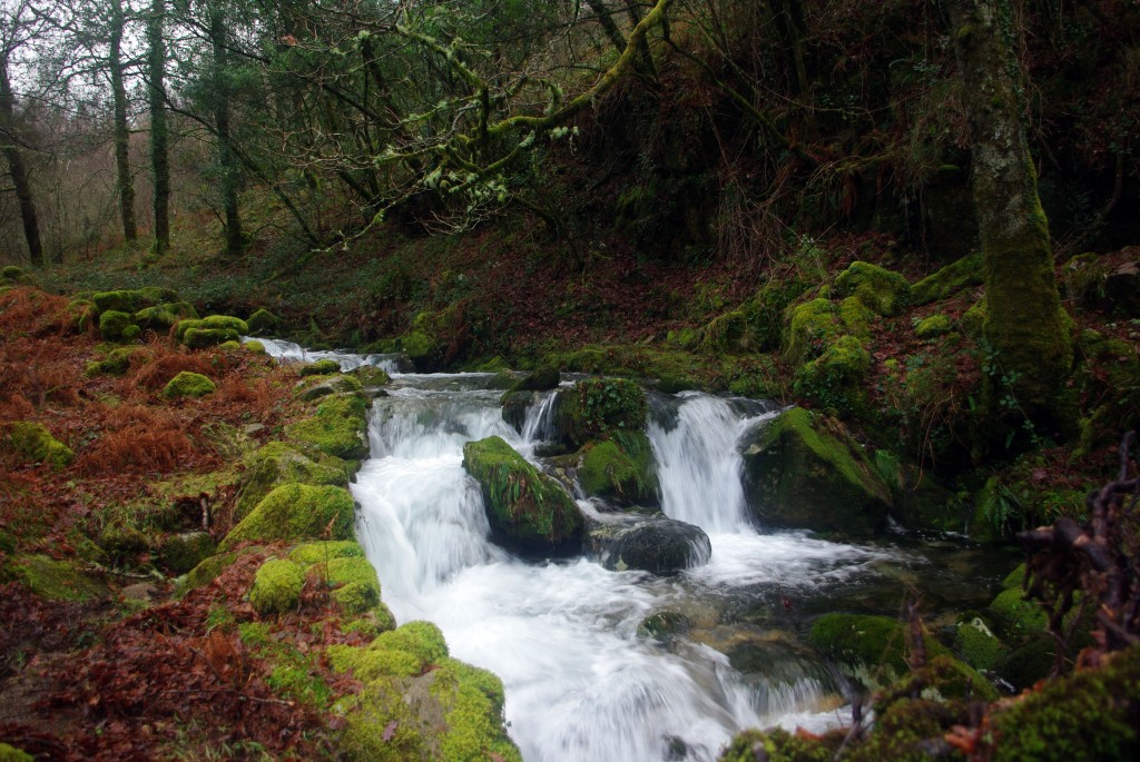 Foto de Fornelos De Montes (Pontevedra), España