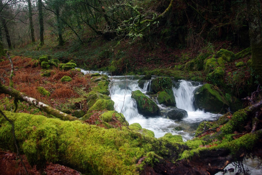 Foto de Fornelos De Montes (Pontevedra), España