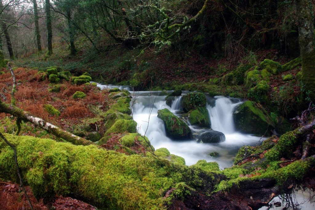 Foto de Fornelos De Montes (Pontevedra), España