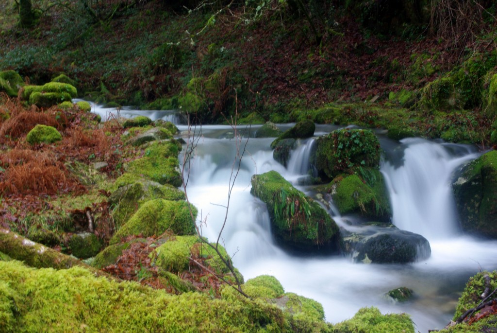 Foto de Fornelos De Montes (Pontevedra), España