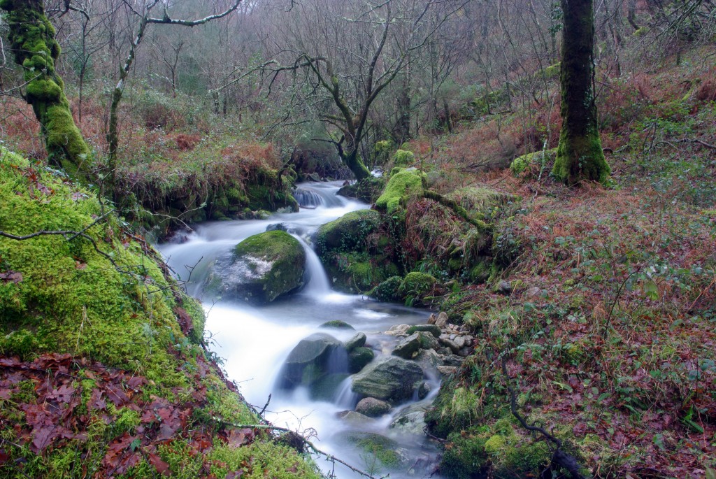 Foto de Fornelos De Montes (Pontevedra), España