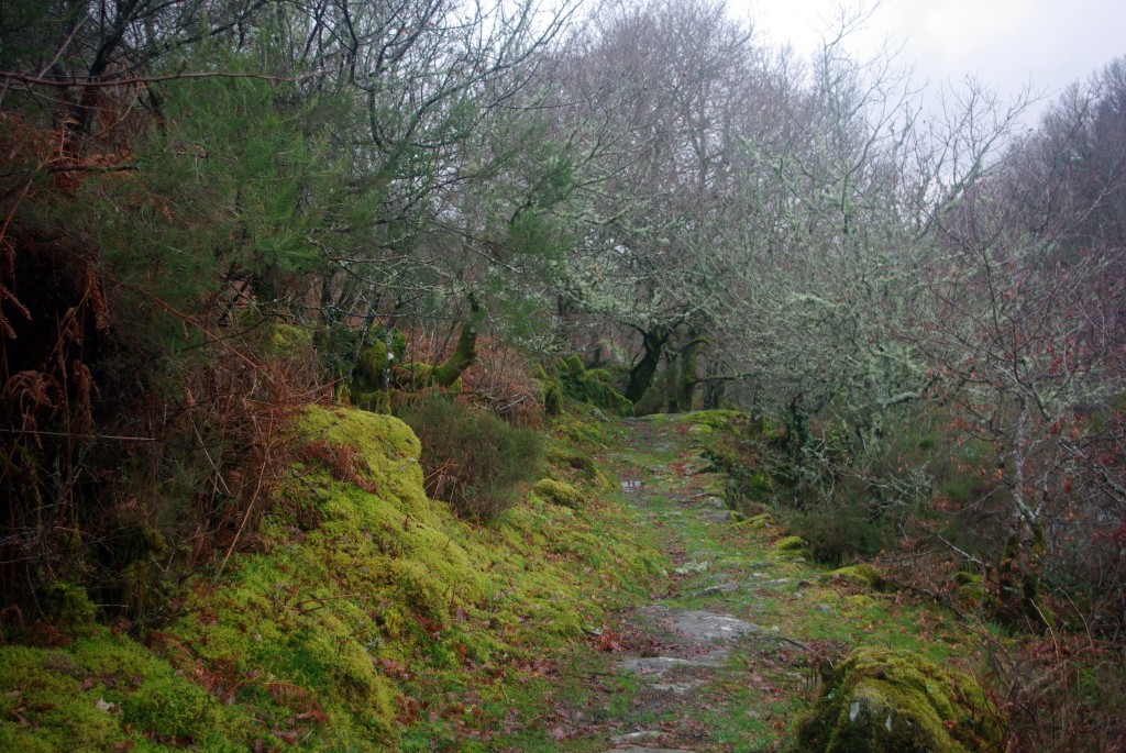 Foto de Fornelos De Montes (Pontevedra), España