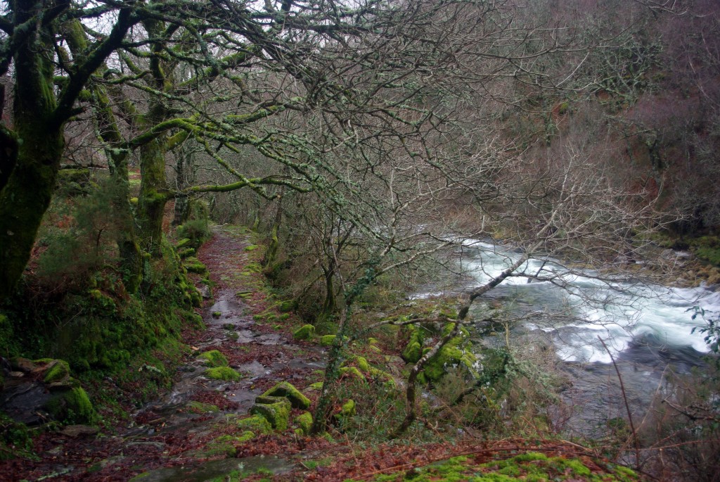 Foto de Fornelos De Montes (Pontevedra), España