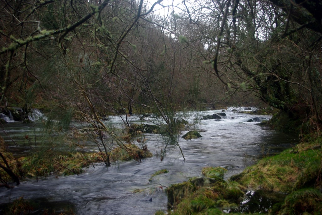 Foto de Fornelos De Montes (Pontevedra), España