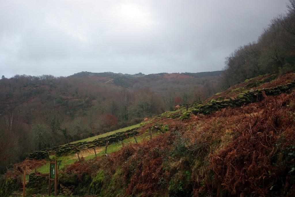 Foto de Fornelos De Montes (Pontevedra), España