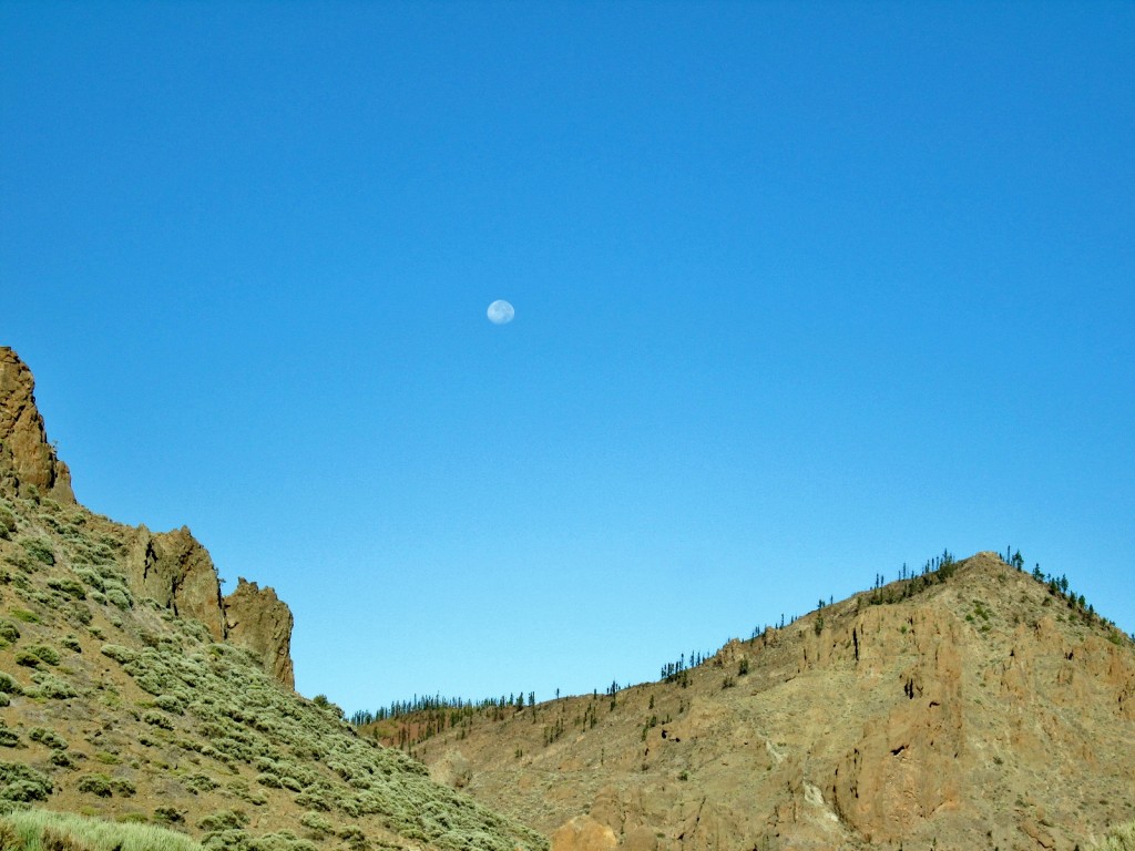 Foto: Las Cañadas del Teide - La Orotava (Santa Cruz de Tenerife), España