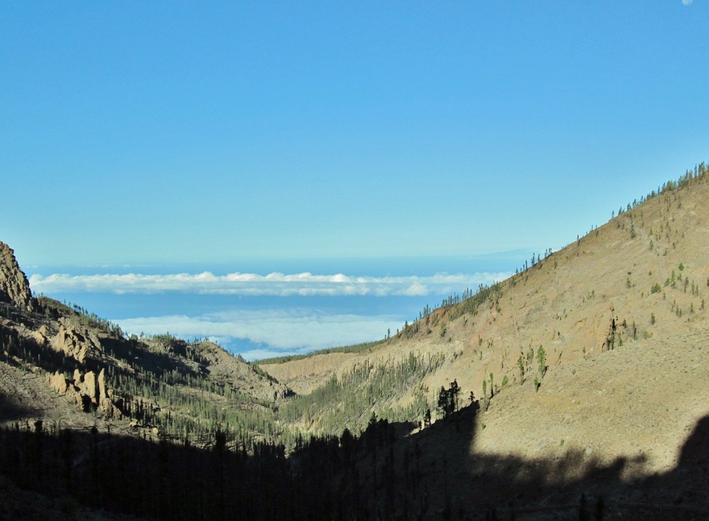 Foto: Las Cañadas del Teide - La Orotava (Santa Cruz de Tenerife), España