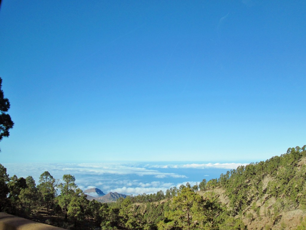 Foto: Las Cañadas del Teide - La Orotava (Santa Cruz de Tenerife), España