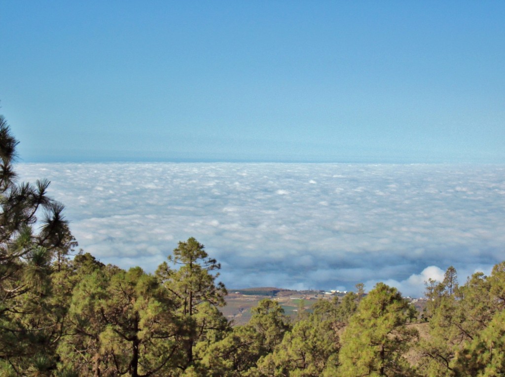 Foto: Las Cañadas del Teide - La Orotava (Santa Cruz de Tenerife), España