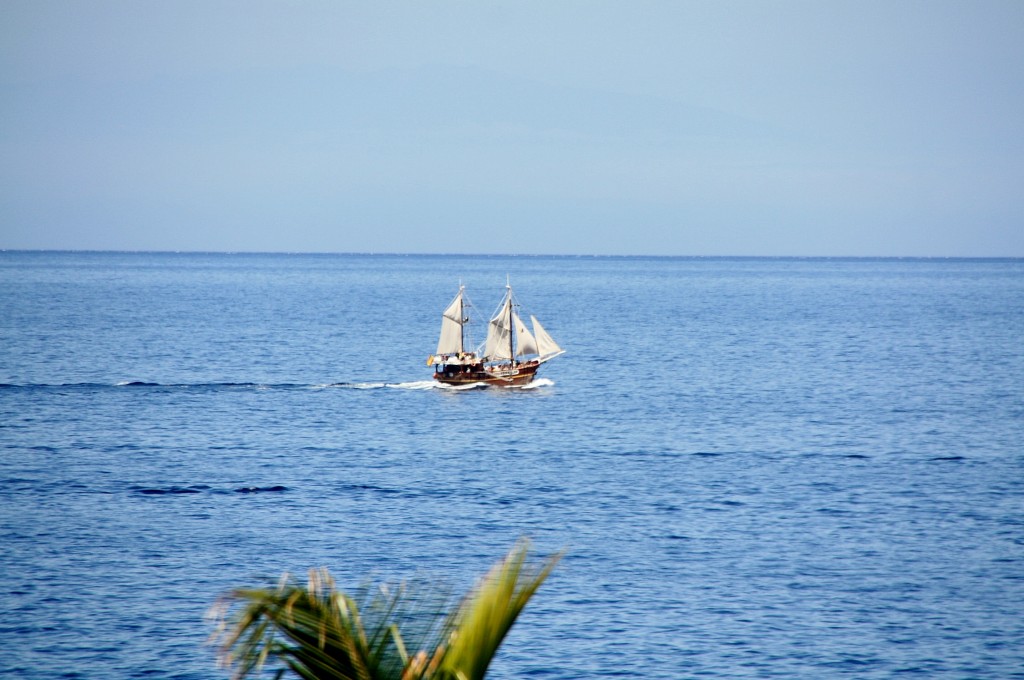 Foto: Vistas - Puerto de Santiago (Santa Cruz de Tenerife), España