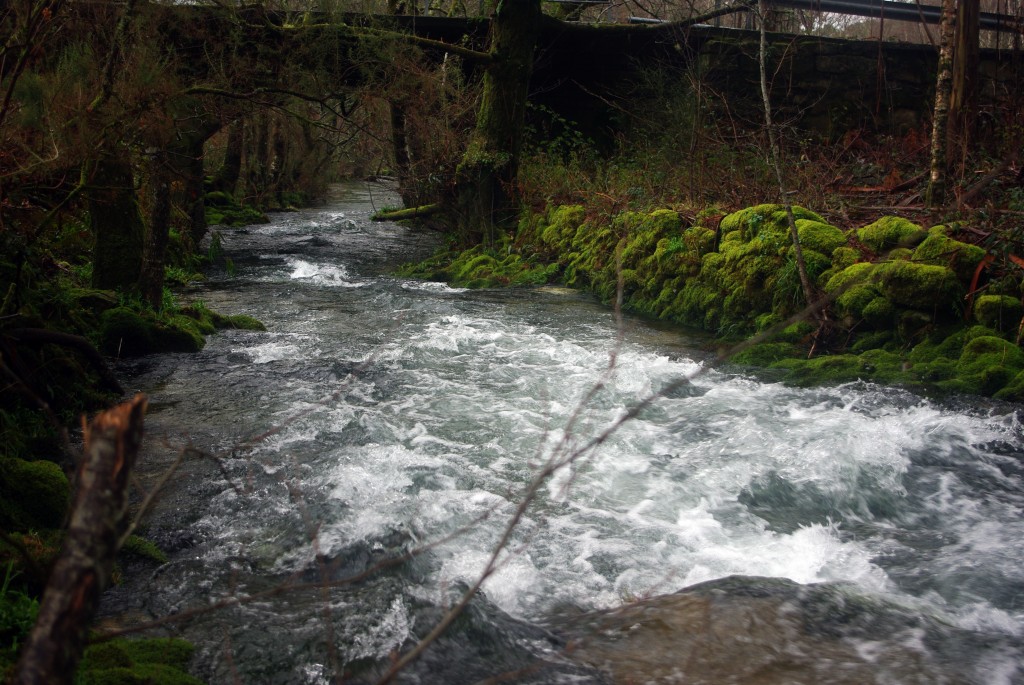 Foto de Fornelos de Montes (Pontevedra), España