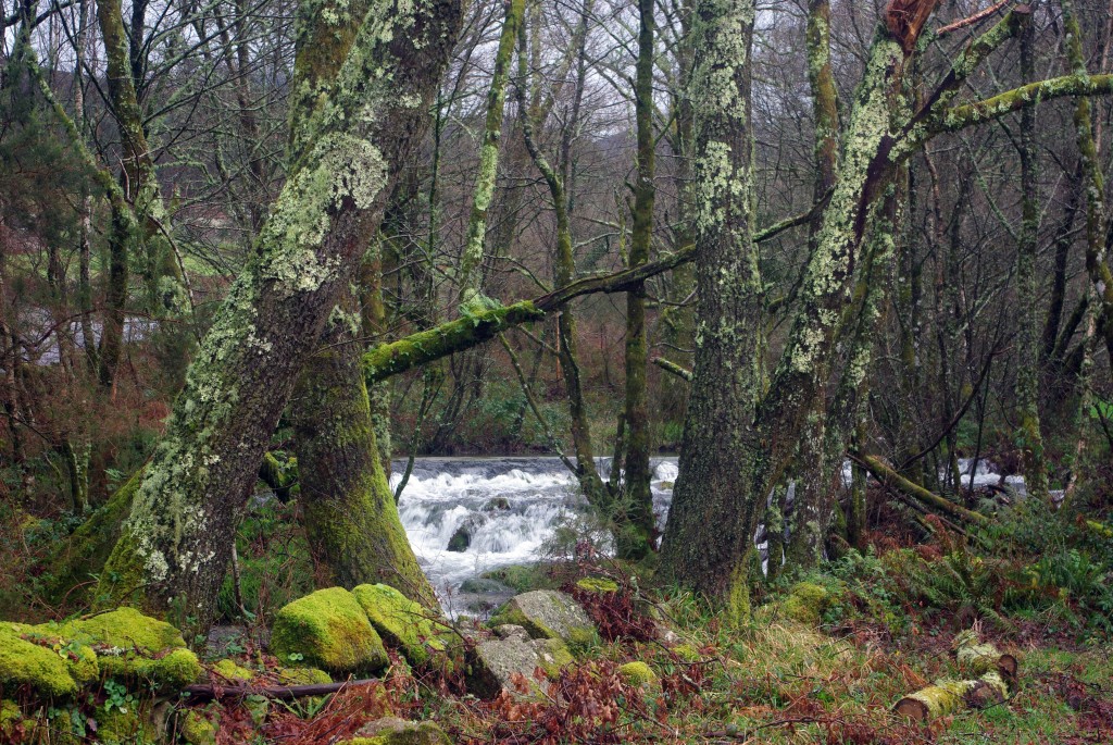 Foto de Fornelos de Montes (Palencia), España