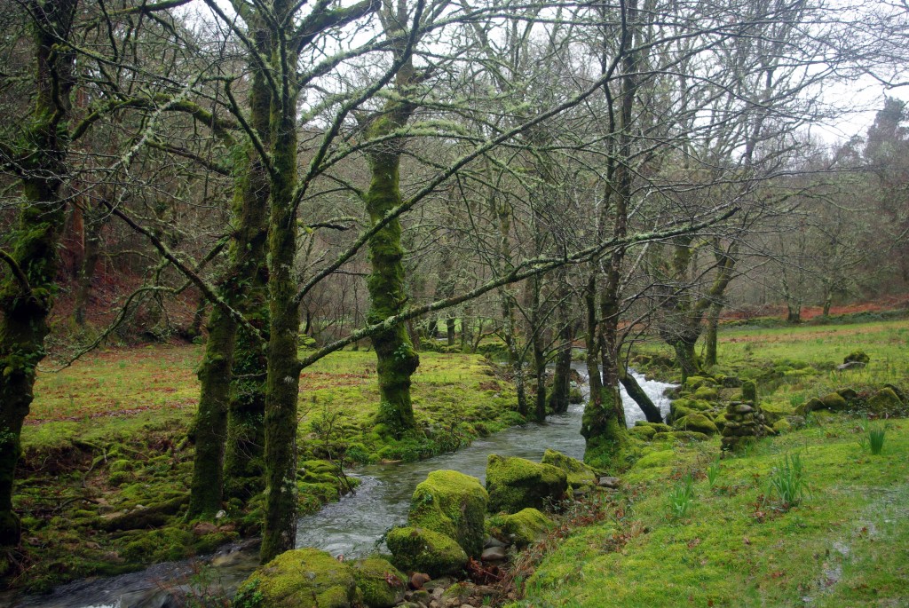 Foto de Fornelos de Montes (Pontevedra), España