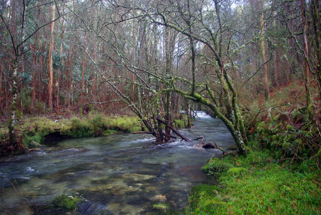 Foto de Fornelos de Montes (Pontevedra), España