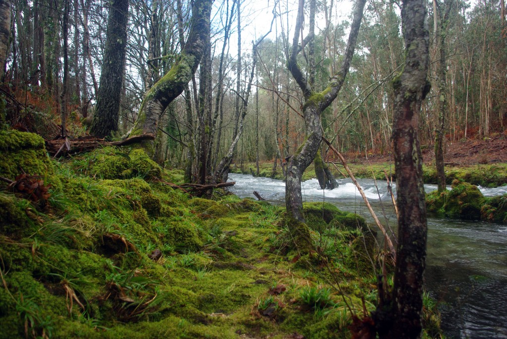 Foto de Fornelos de Montes (Pontevedra), España