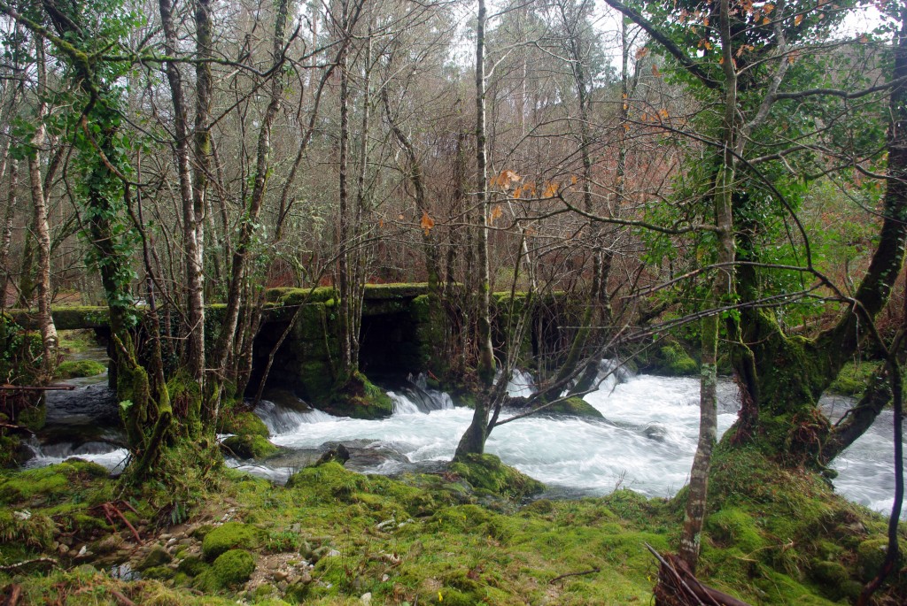 Foto de Fornelos de Montes (Pontevedra), España