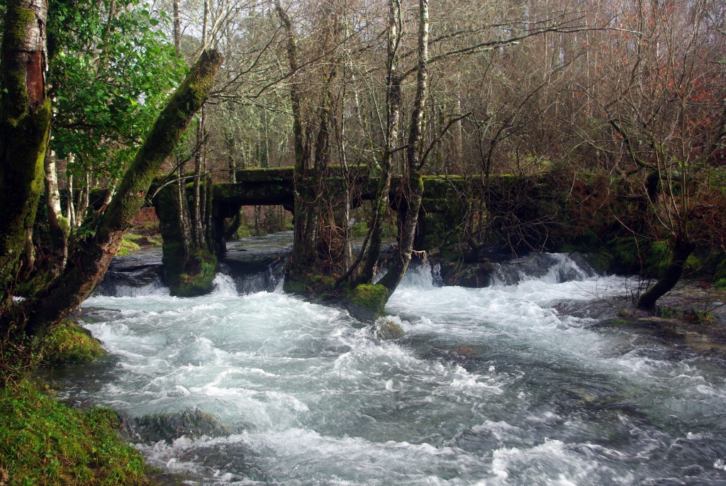 Foto de Fornelos de Montes (Pontevedra), España