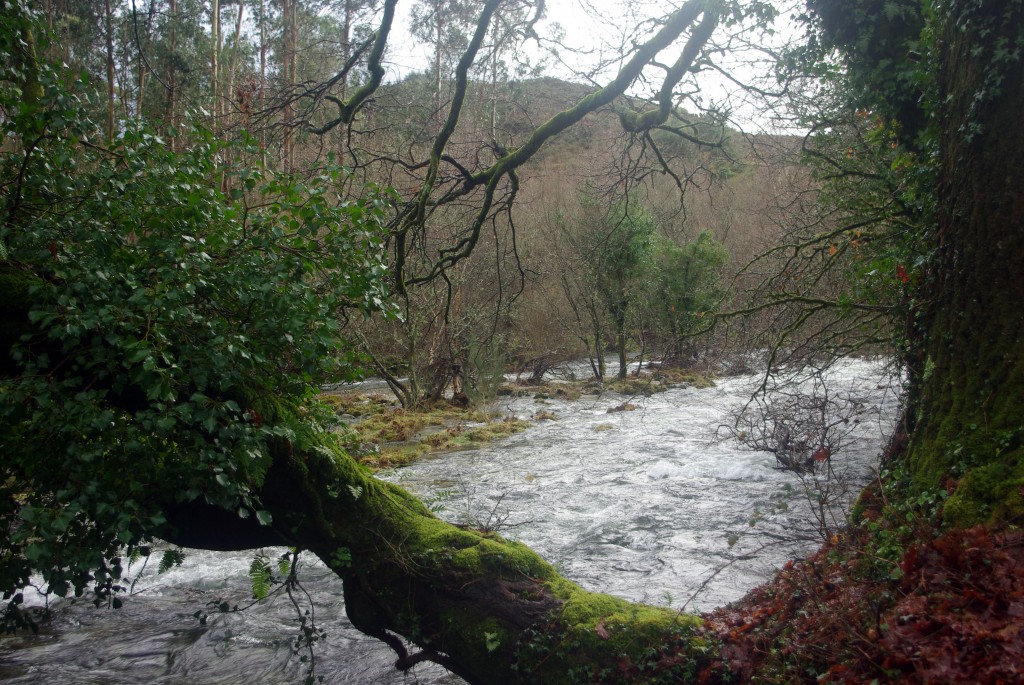 Foto de Fornelos de Montes (Pontevedra), España