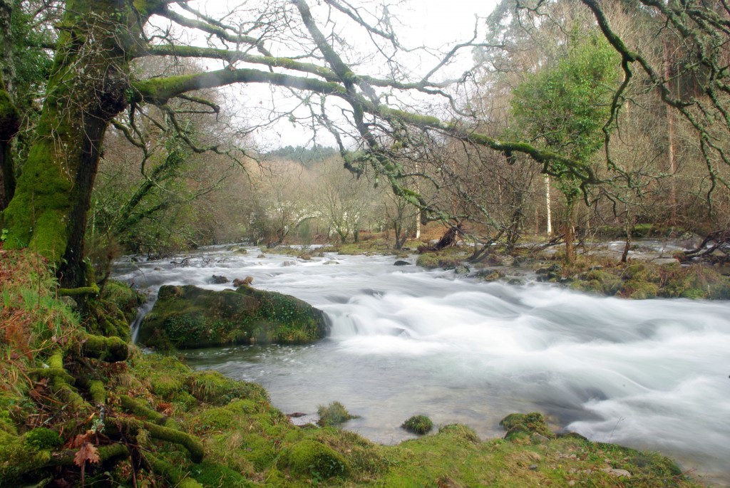 Foto de Fornelos de Montes (Pontevedra), España