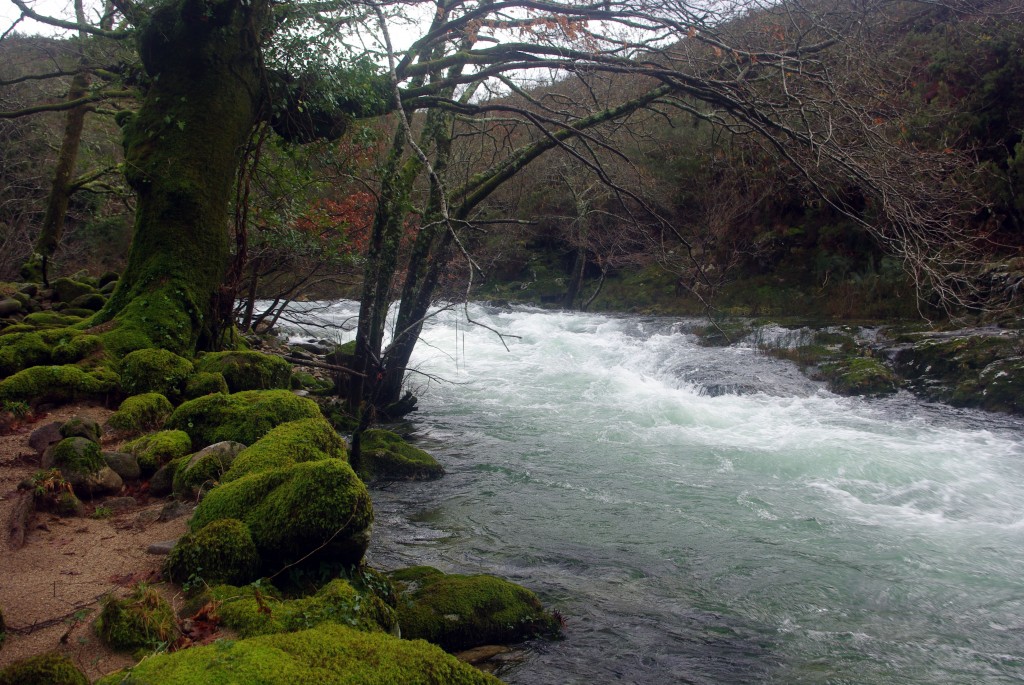 Foto de Fornelos de Montes (Pontevedra), España