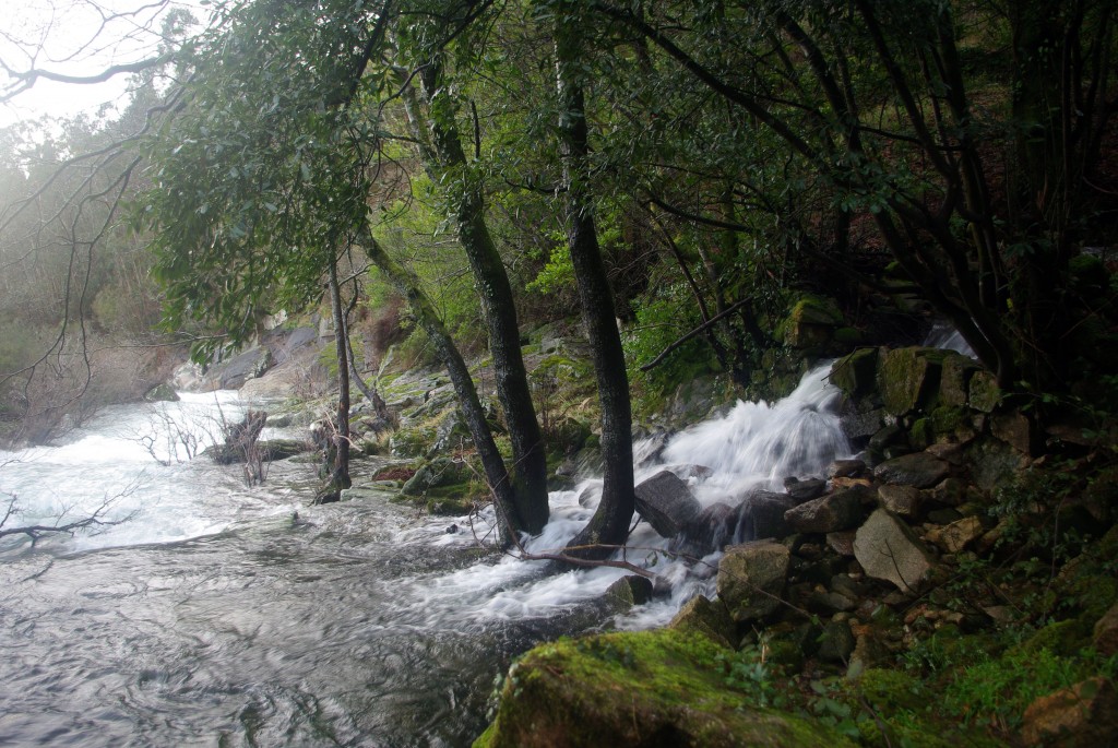 Foto de Fornelos de Montes (Pontevedra), España