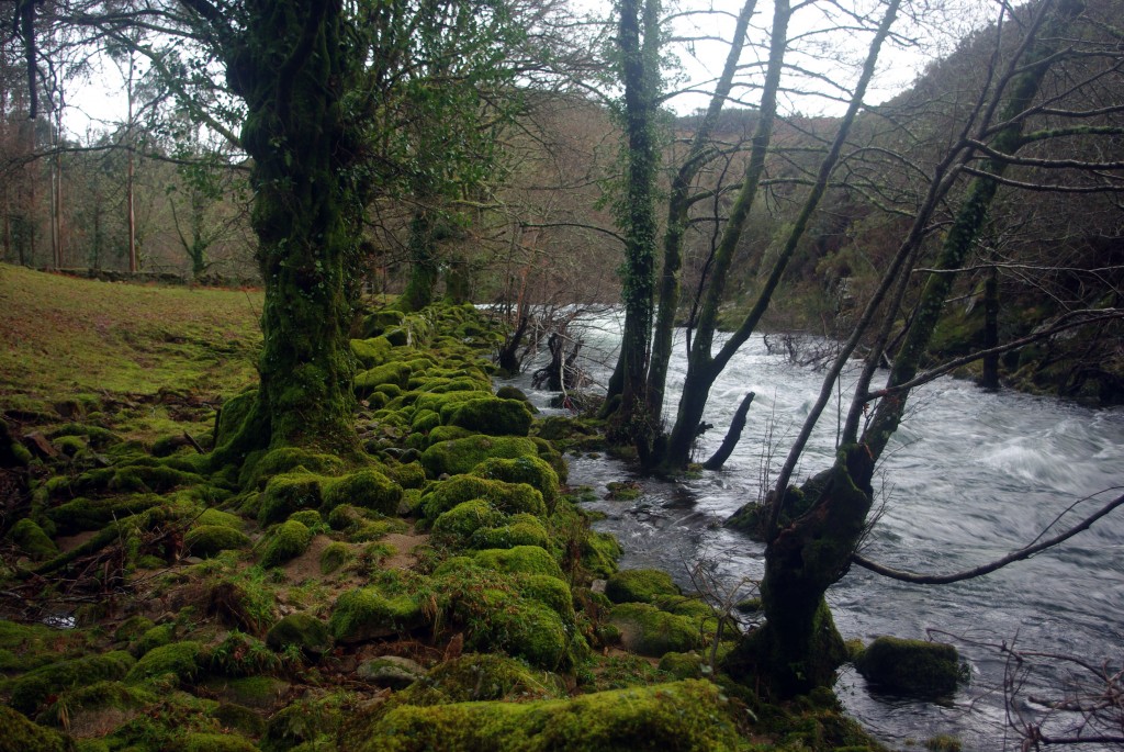 Foto de Fornelos de Montes (Pontevedra), España