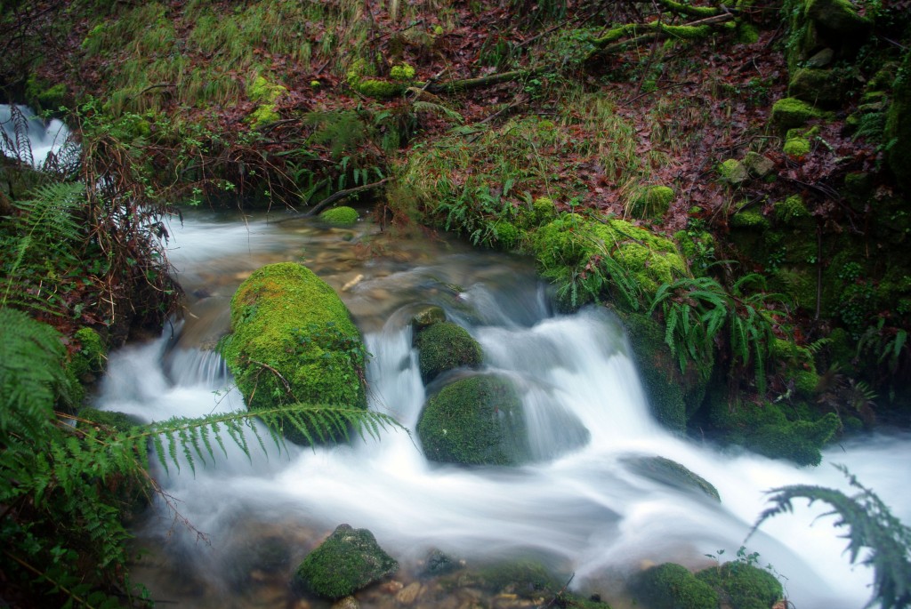 Foto de Fornelos de Montes (Pontevedra), España