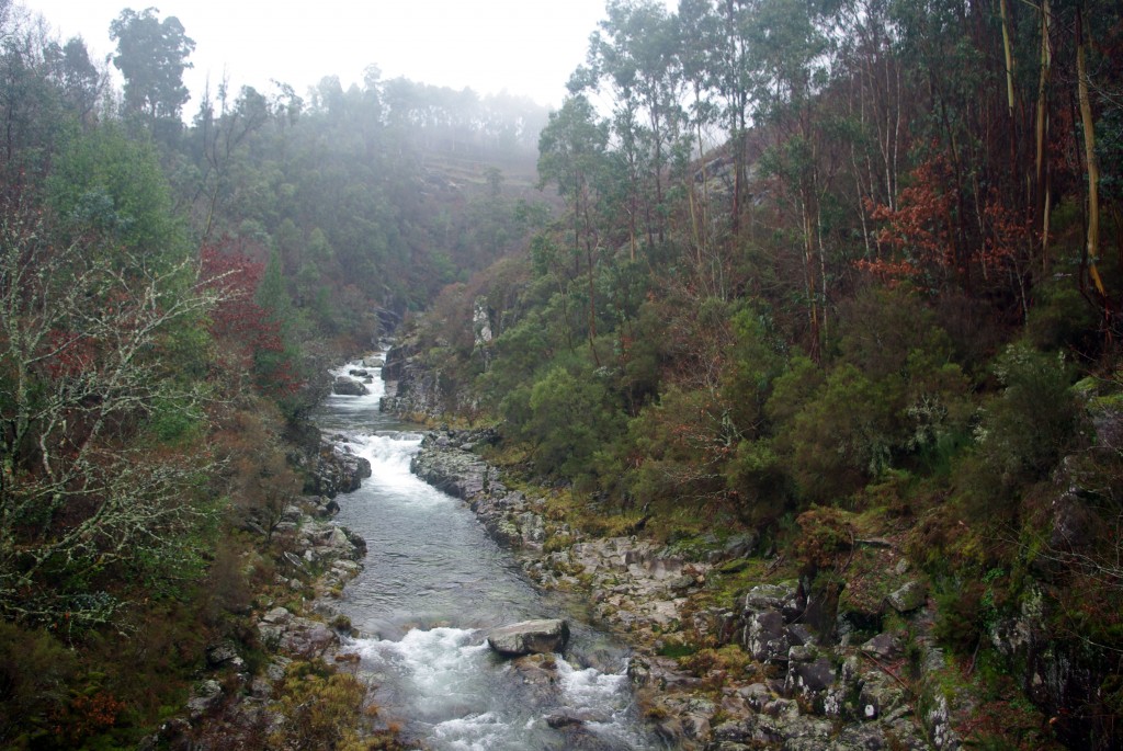 Foto de Fornelos de Montes (Pontevedra), España