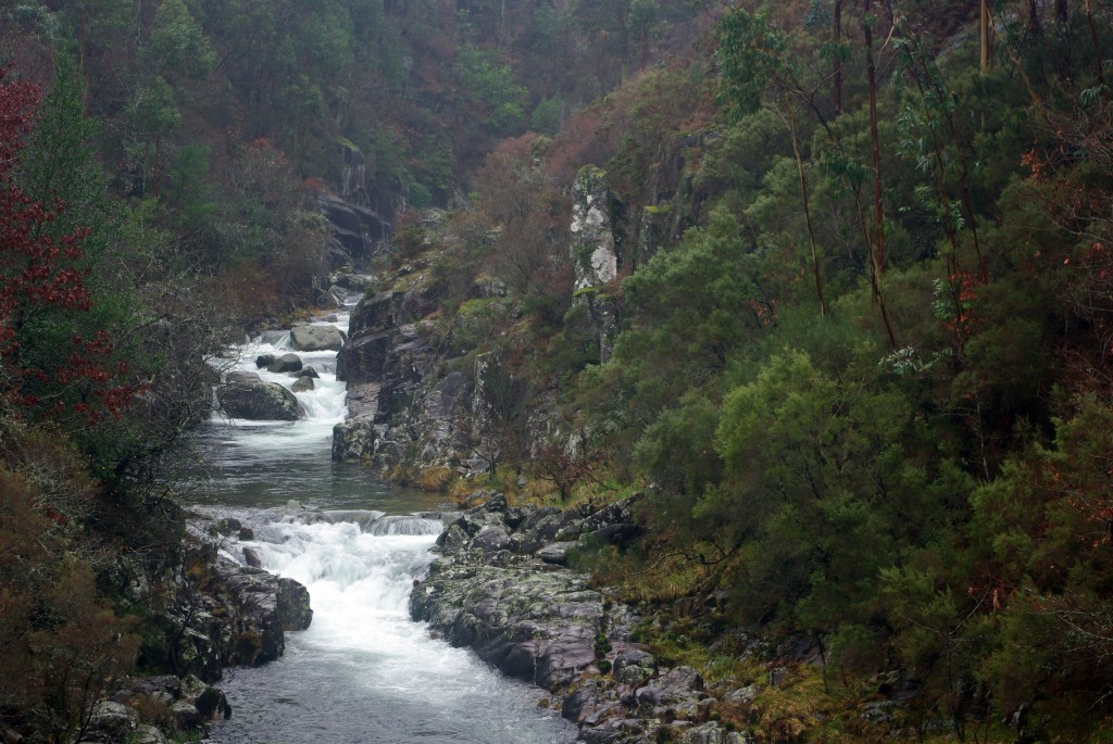 Foto de Fornelos de Montes (Pontevedra), España