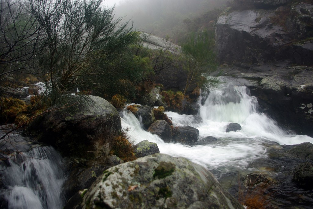 Foto de Fornelos de Montes (Pontevedra), España