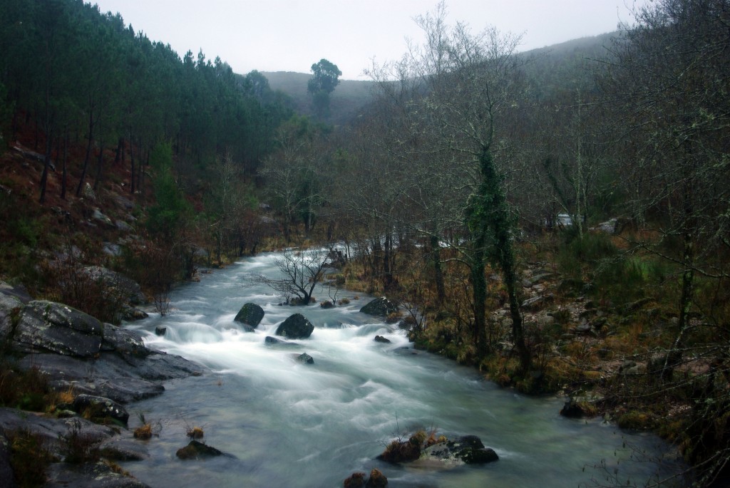 Foto de Fornelos de Montes (Pontevedra), España