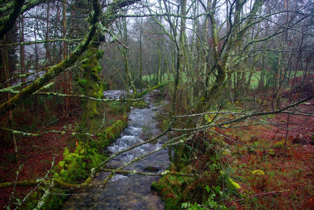 Foto de Fornelos de Montes (Pontevedra), España