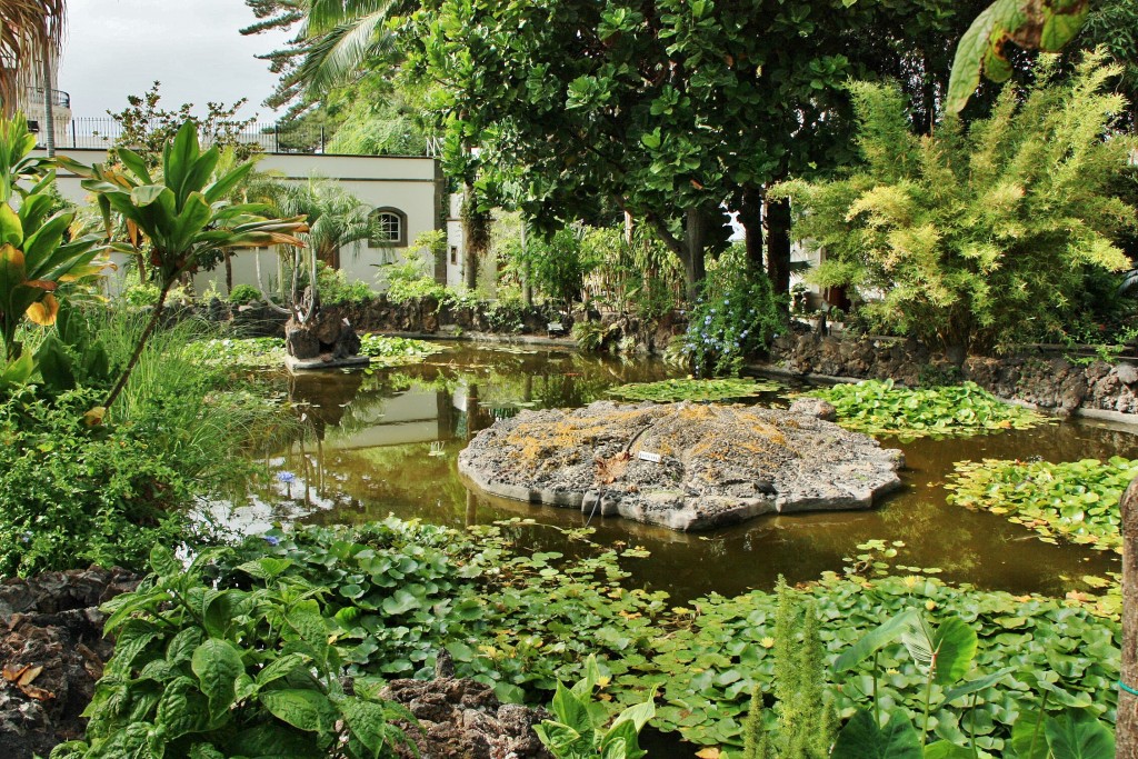 Foto: Jardín de la Marquesa - Arucas (Gran Canaria) (Las Palmas), España