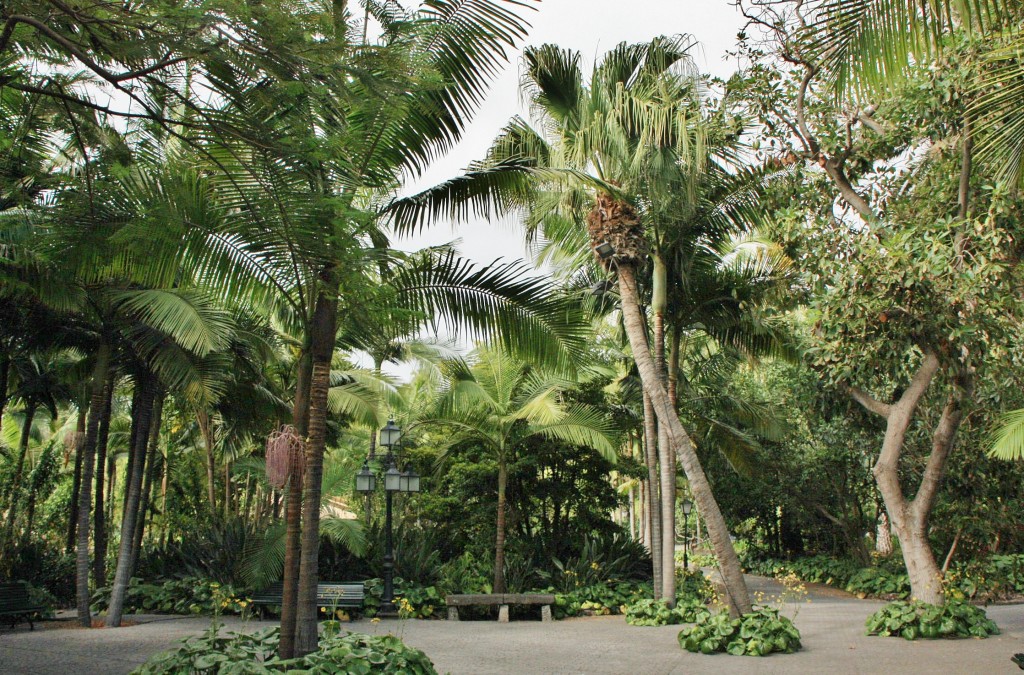 Foto: Jardín de la Marquesa - Arucas (Gran Canaria) (Las Palmas), España