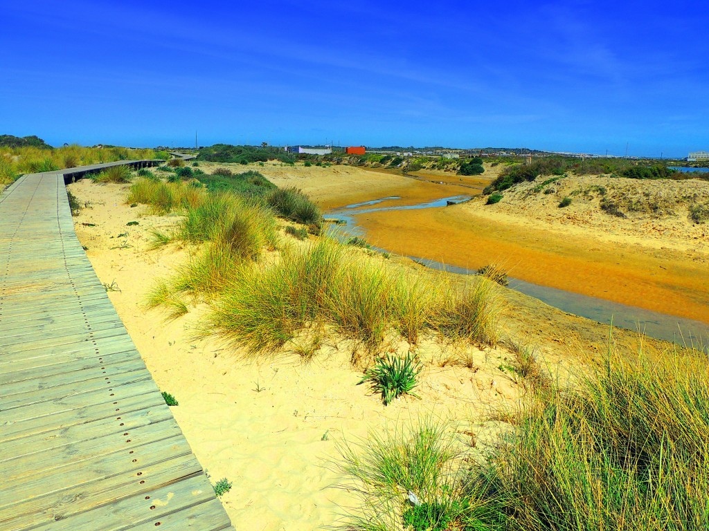 Foto: Camposoto - San Fernando (Cádiz), España