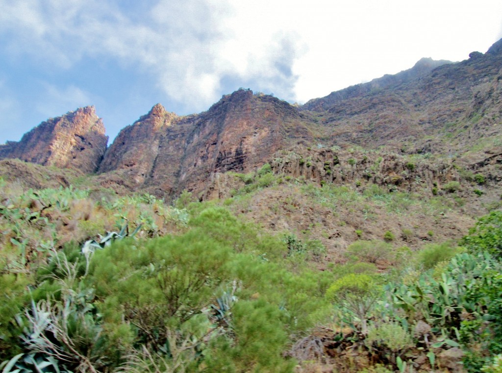 Foto: Paisaje - Masca (Santa Cruz de Tenerife), España