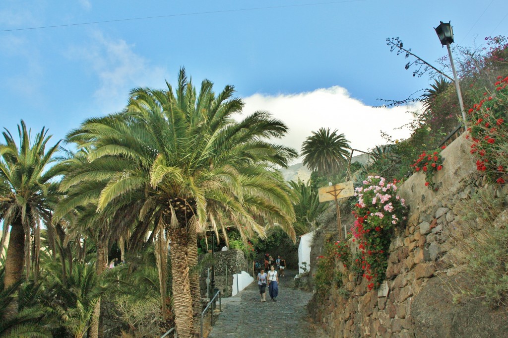 Foto: Vista del pueblo - Masca (Santa Cruz de Tenerife), España