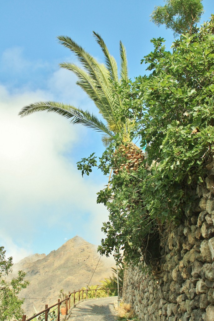 Foto: Vista del pueblo - Masca (Santa Cruz de Tenerife), España