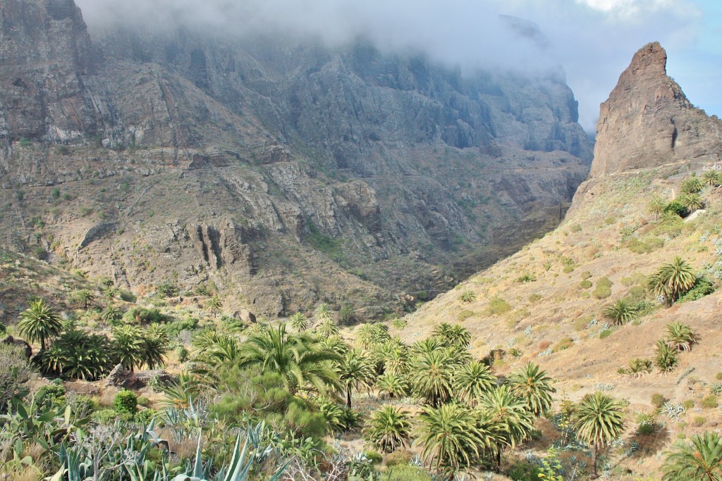 Foto: Paisaje - Masca (Santa Cruz de Tenerife), España