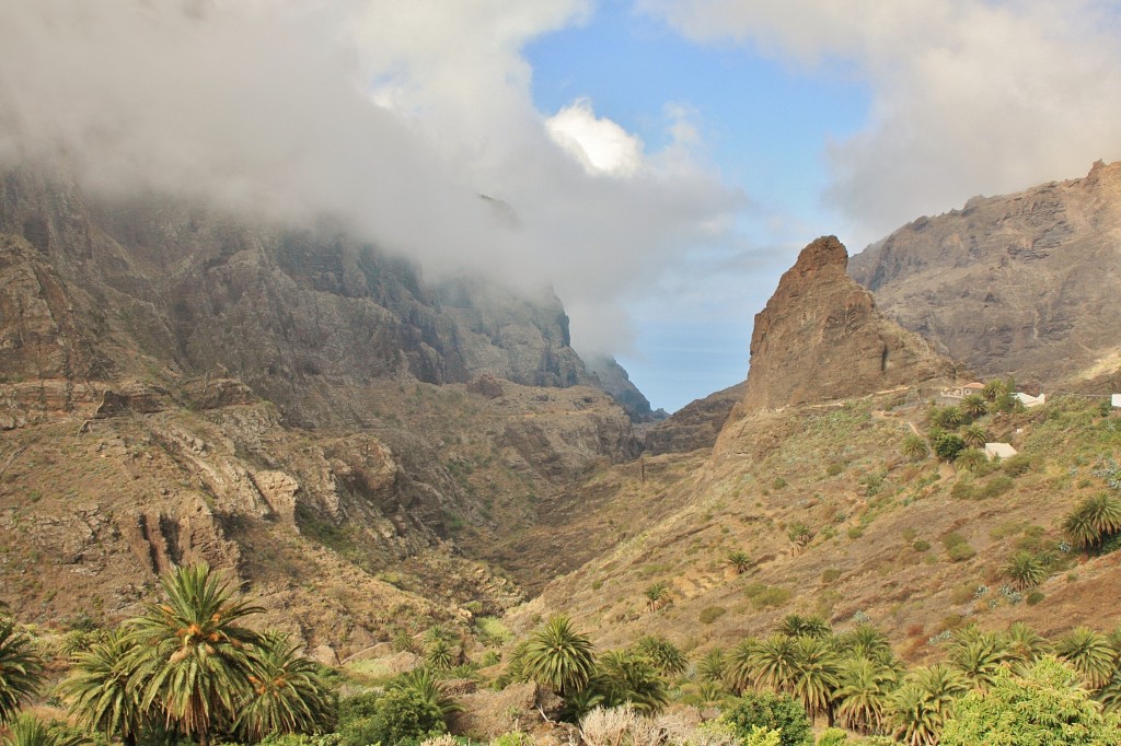 Foto: Paisaje - Masca (Santa Cruz de Tenerife), España