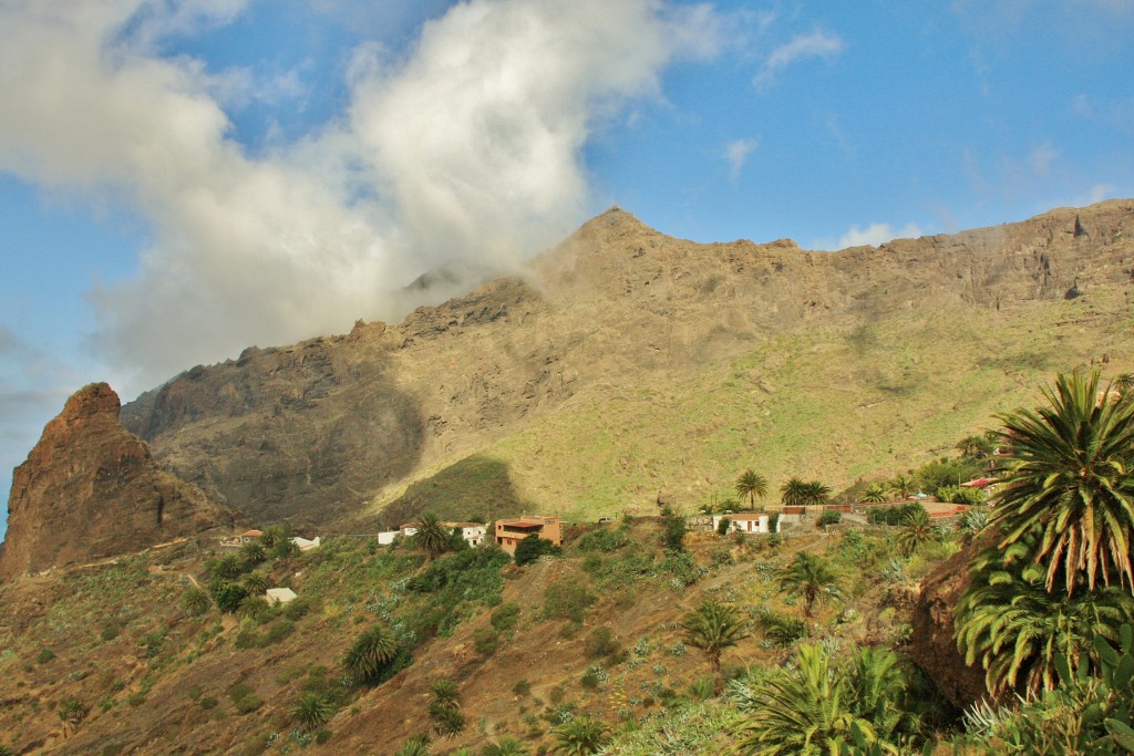 Foto: Paisaje - Masca (Santa Cruz de Tenerife), España