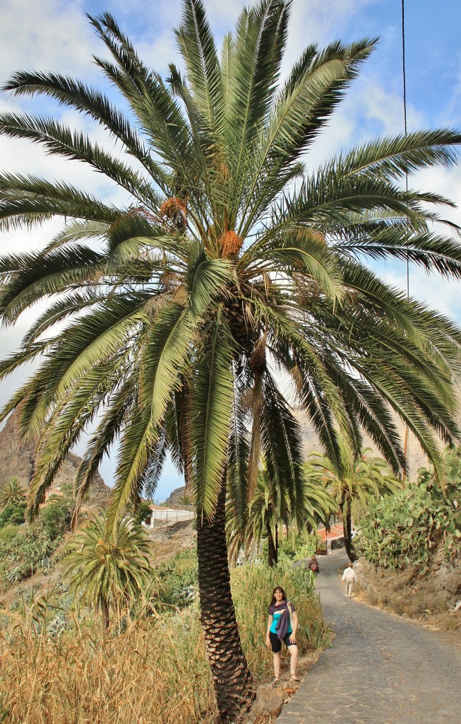 Foto: Paisaje - Masca (Santa Cruz de Tenerife), España