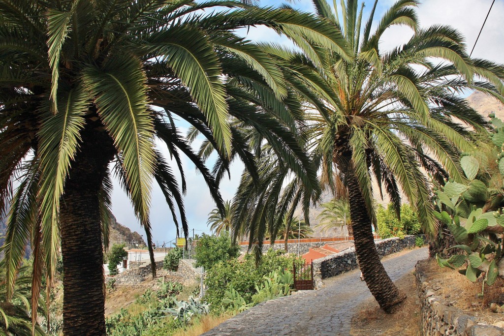 Foto: Paisaje - Masca (Santa Cruz de Tenerife), España