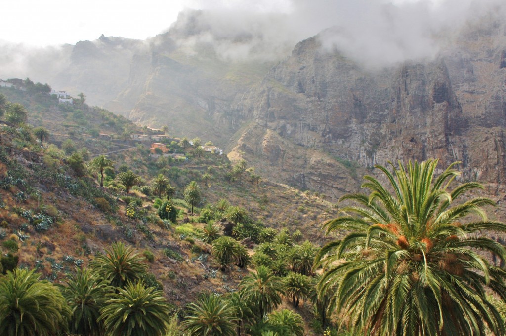 Foto: Paisaje - Masca (Santa Cruz de Tenerife), España