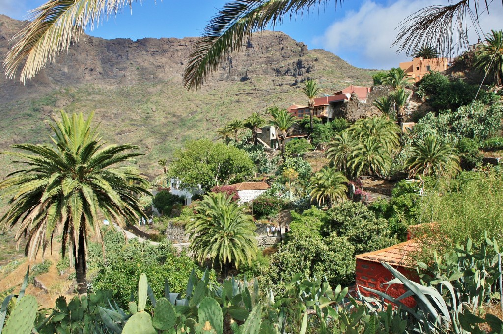 Foto: Paisaje - Masca (Santa Cruz de Tenerife), España