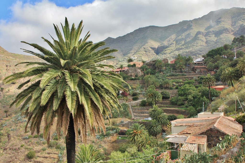 Foto: Paisaje - Masca (Santa Cruz de Tenerife), España