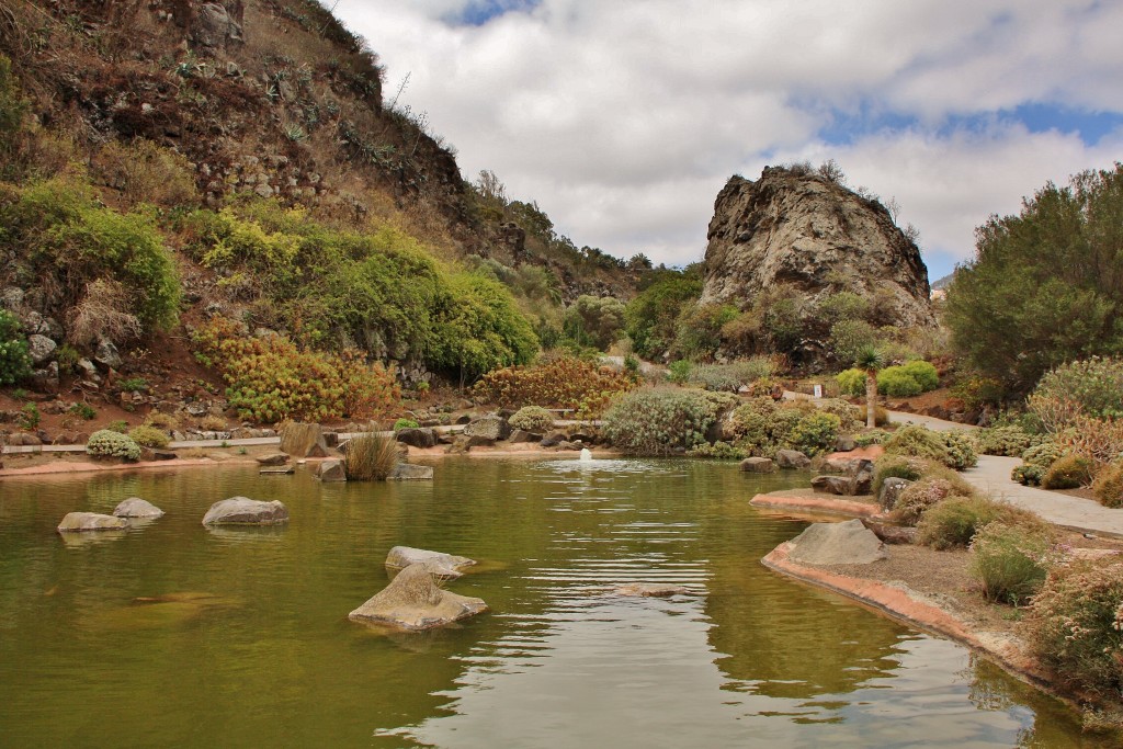 Foto: Jardín botánico Viera y Clavijo - Tafira Alta (Gran Canaria) (Las Palmas), España